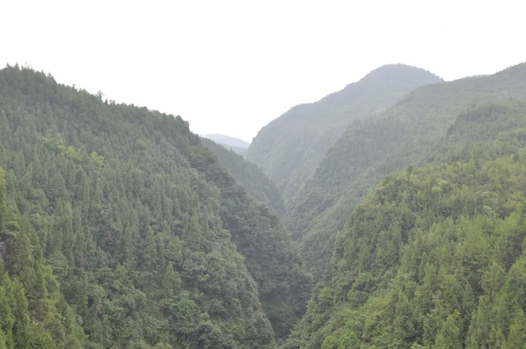 茨竹乡寻景记2:漫步茶马古道,品味家乡美食