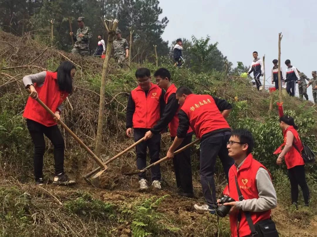 团县委:组织志愿者开展义务植树活动