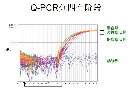 测定蛋白质浓度的方法有哪些 原理是什么