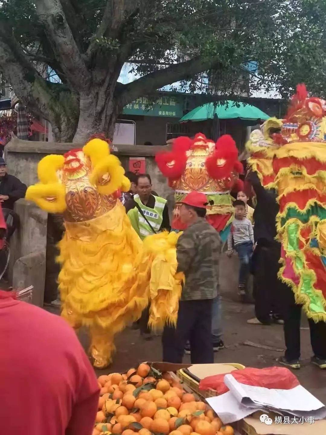 横县"尼度"二月十三,十四又有得嗨了