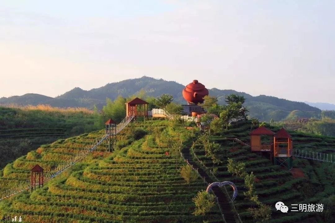 大田大仙峰·茶美人景区