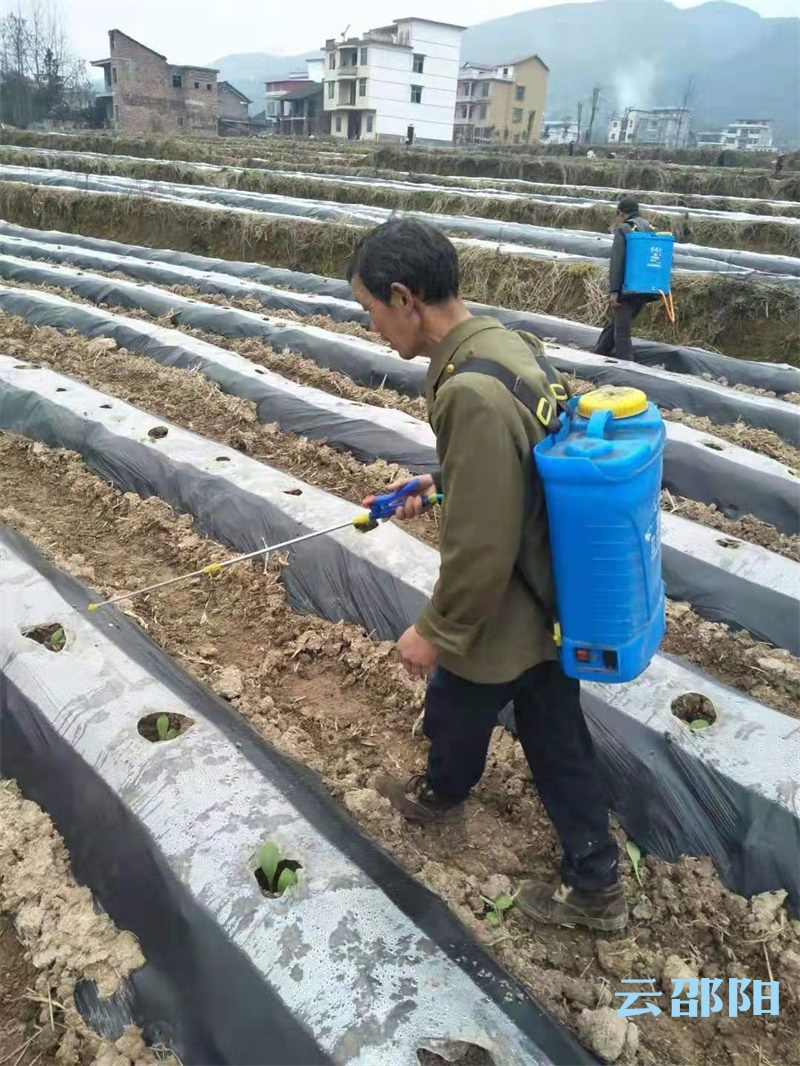 邵阳县白仓镇人口多少_邵阳县塘渡口镇梅溪