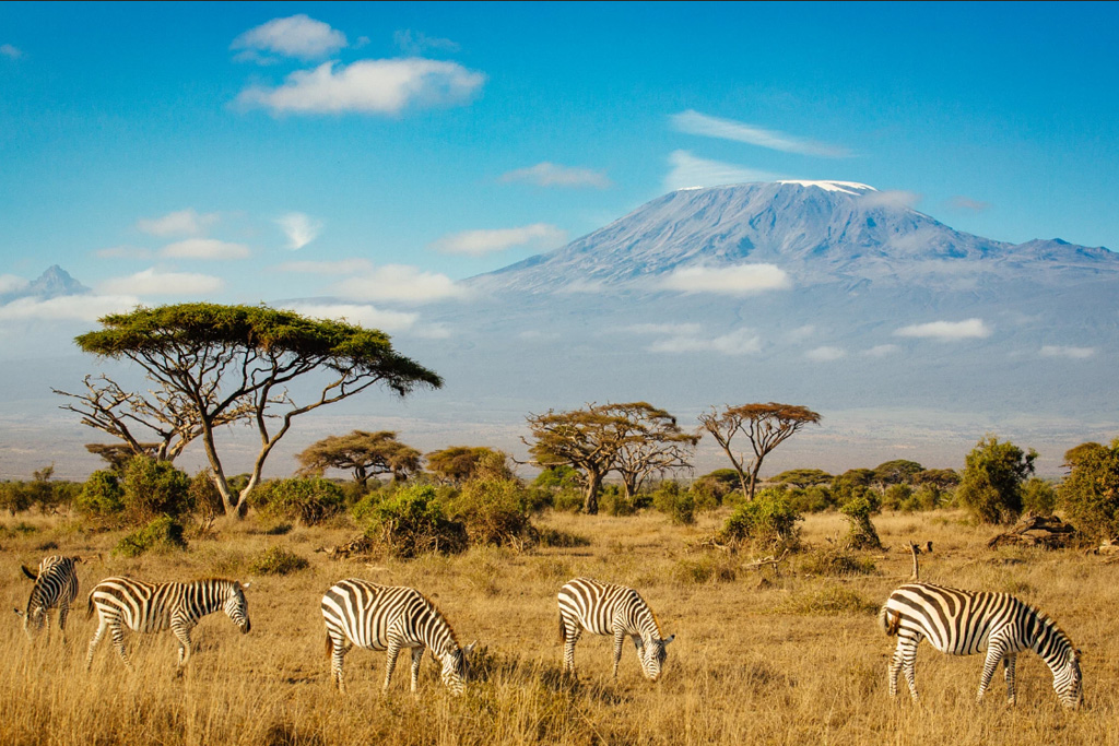 1/ 12 非洲有着大片未被人为破坏的美丽自然景观,并拥有着丰富的野生