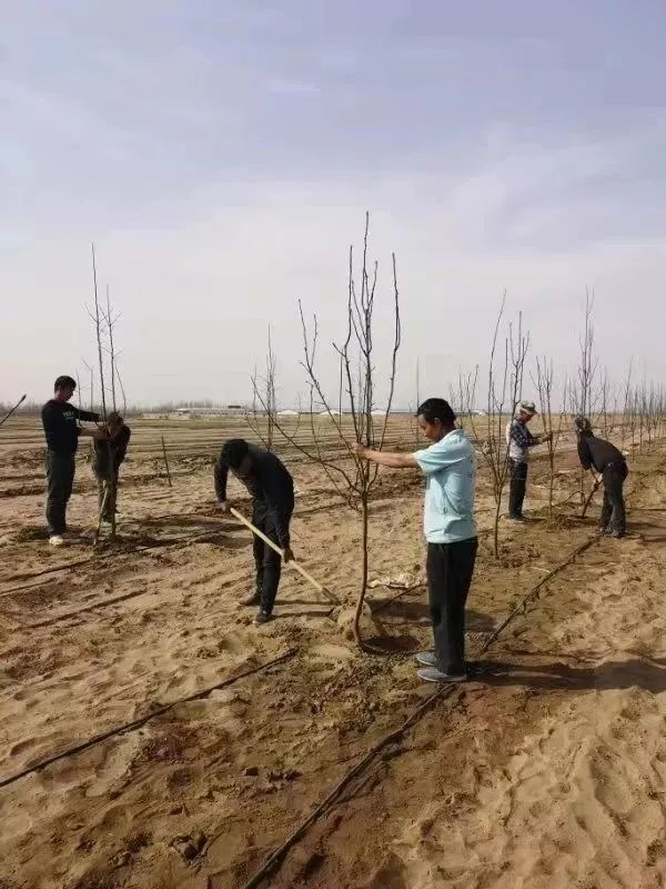 昆玉市各县市人口排名_昆玉市地图