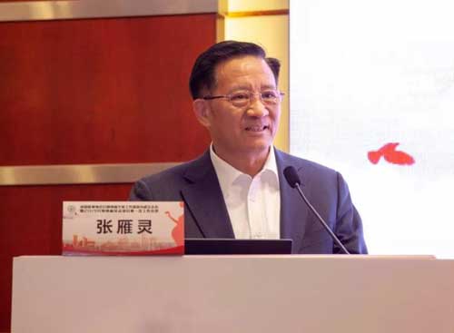 中国医师协会张雁灵会长讲话