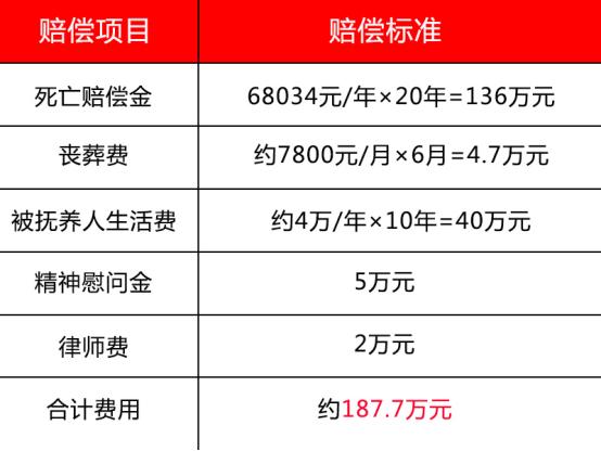 被抚养人人口_人口普查(2)