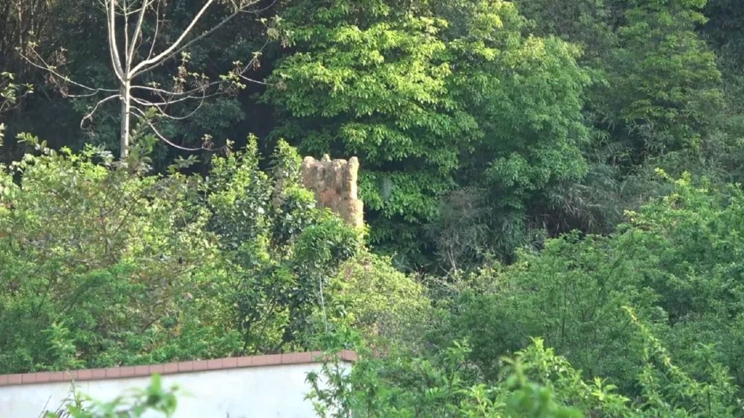 五华县蓝坑村多少人口_五华县安流镇万塘村