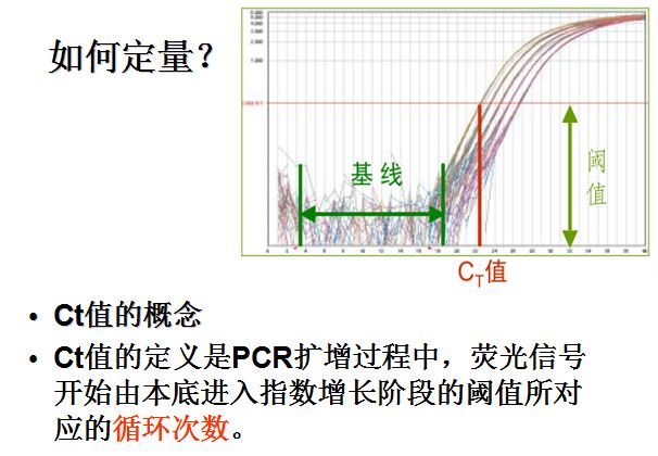 蛋白质含量测定的原理是什么意思_蛋白质凝胶是什么(3)