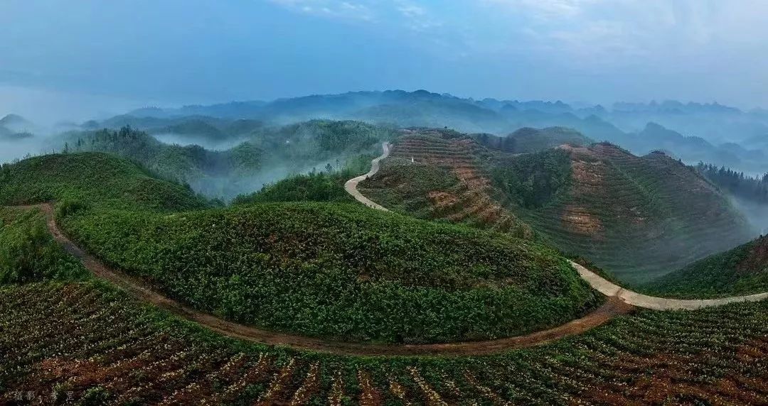 贵州威宁县有多少人口_贵州面积最大人口最多的县,人口数量居贵州各县之首