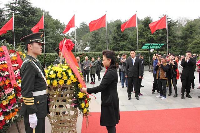 益阳和宁乡的经济总量_宁乡地图(2)