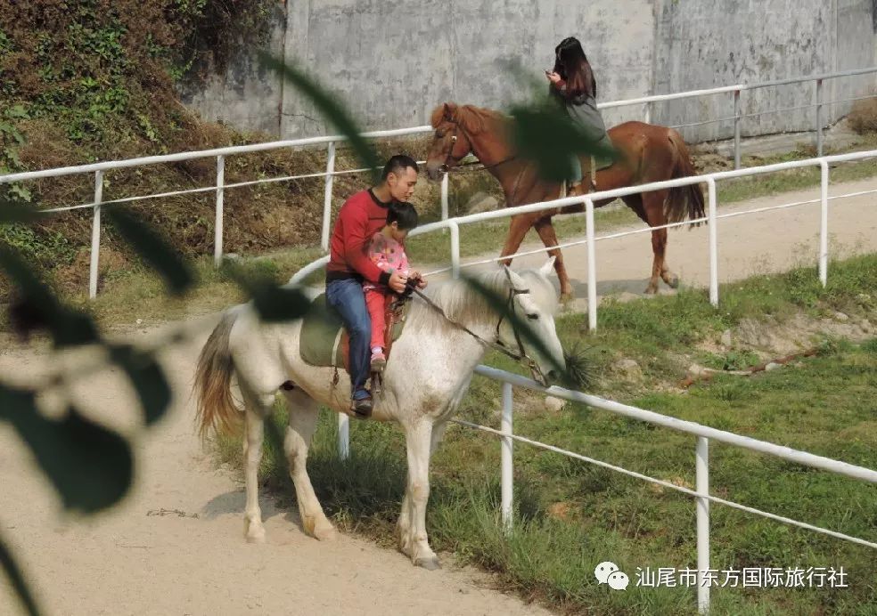 惠东永记生态园动物园,天后宫,巽寮湾一天游