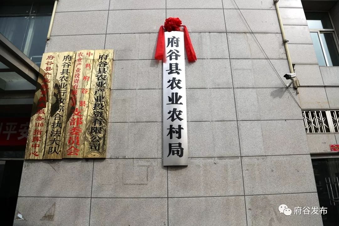 3月19日,府谷县农业农村局正式挂牌,标志着我县"三农"工作进入了新