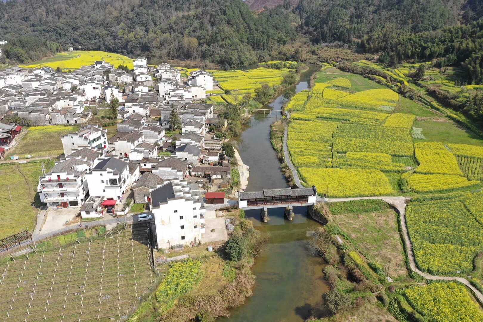 高空鸟瞰:江西上饶婺源县思口古村落和黄花