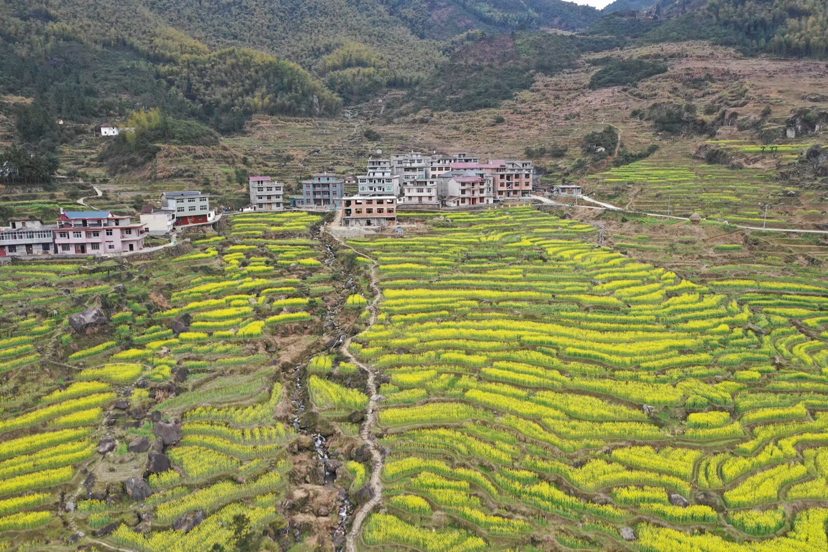 江西省上饶望仙乡有多少人口_上饶望仙谷图片