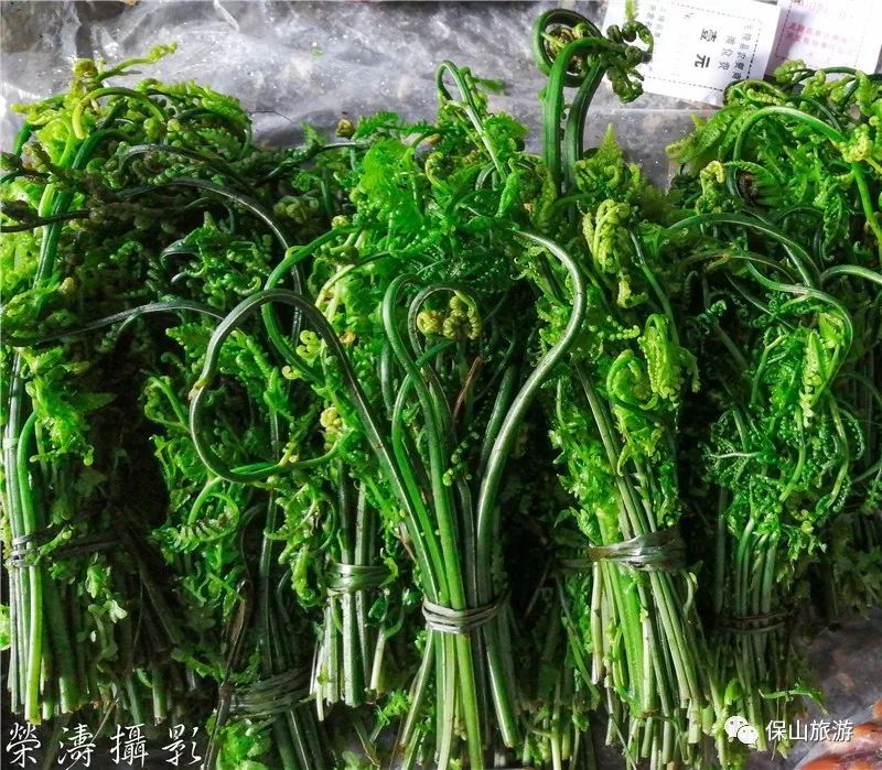 风味保山这些山茅野菜才是春天的味道