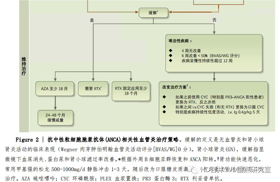 抗c1q抗体高怎么办