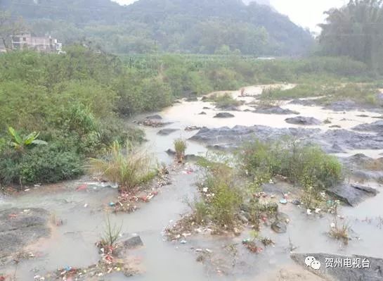 兴宾区桥巩镇有多少人口_广西来宾市兴宾区照片(2)