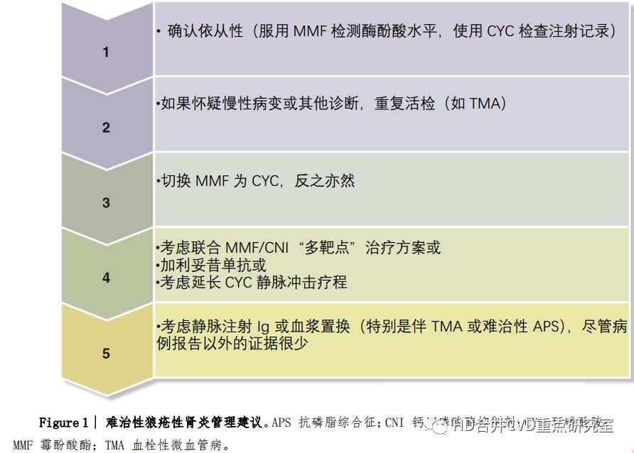 抗c1q抗体高怎么办