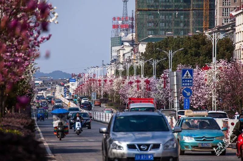 赤壁这条街承包你一整个春天的心动