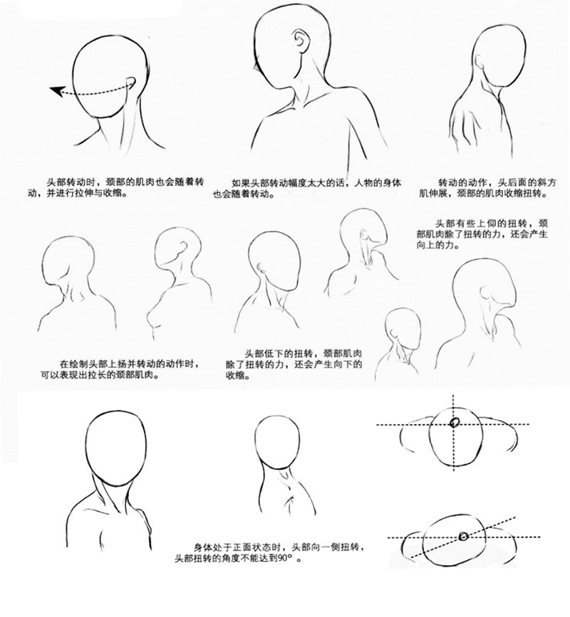 转头绘制要点