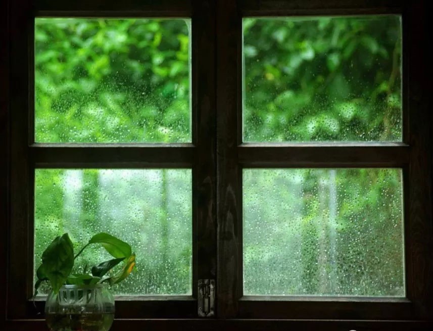 隔窗观雨让心与自然交流在不可触摸的世界心灵颤动