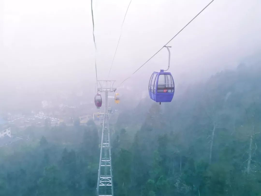 凤冈茶海之心景区,九龙景区欢迎您!_旅游