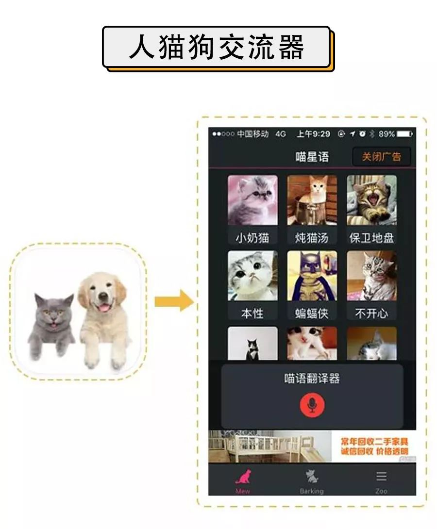 6款人宠交流app深度评测没有最坑只有更坑