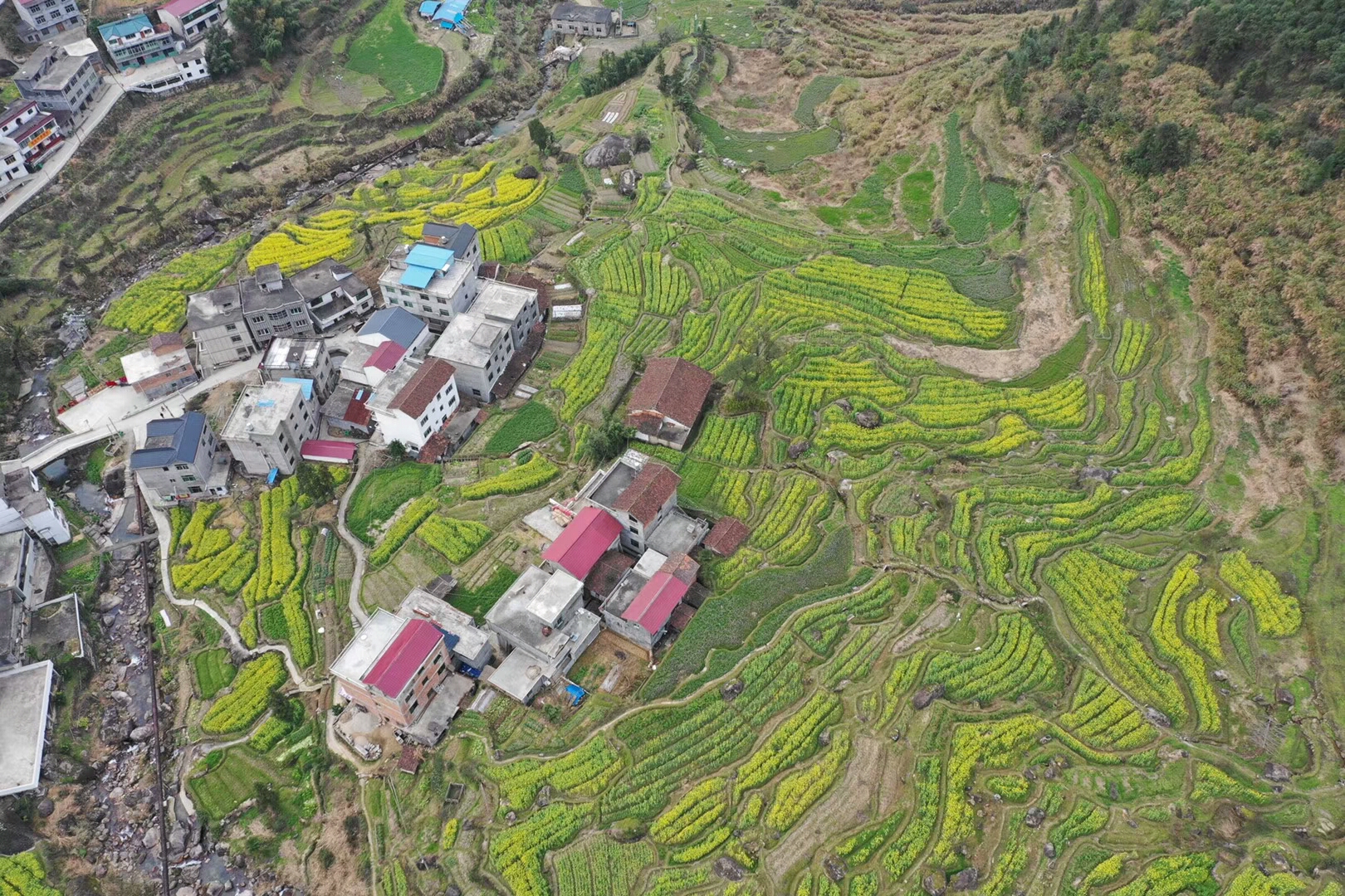 江西省上饶望仙乡有多少人口_上饶望仙谷图片