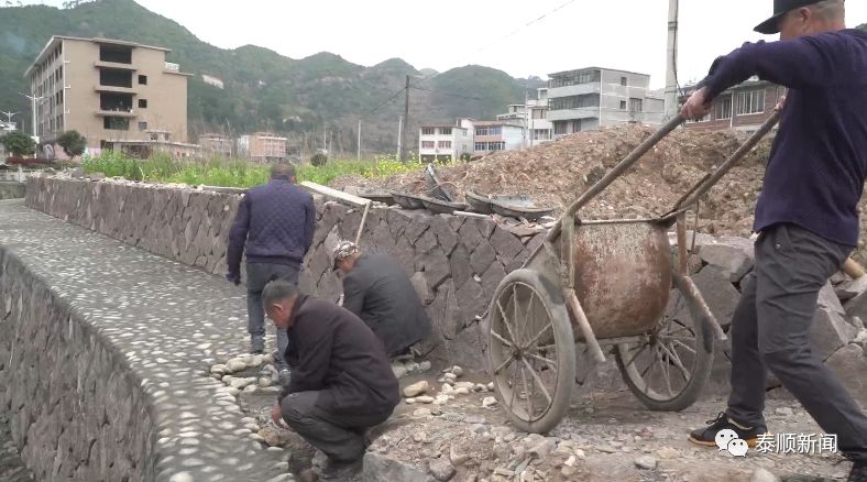 三魁镇总人口_魁拔奇衡三脉兽图片(3)