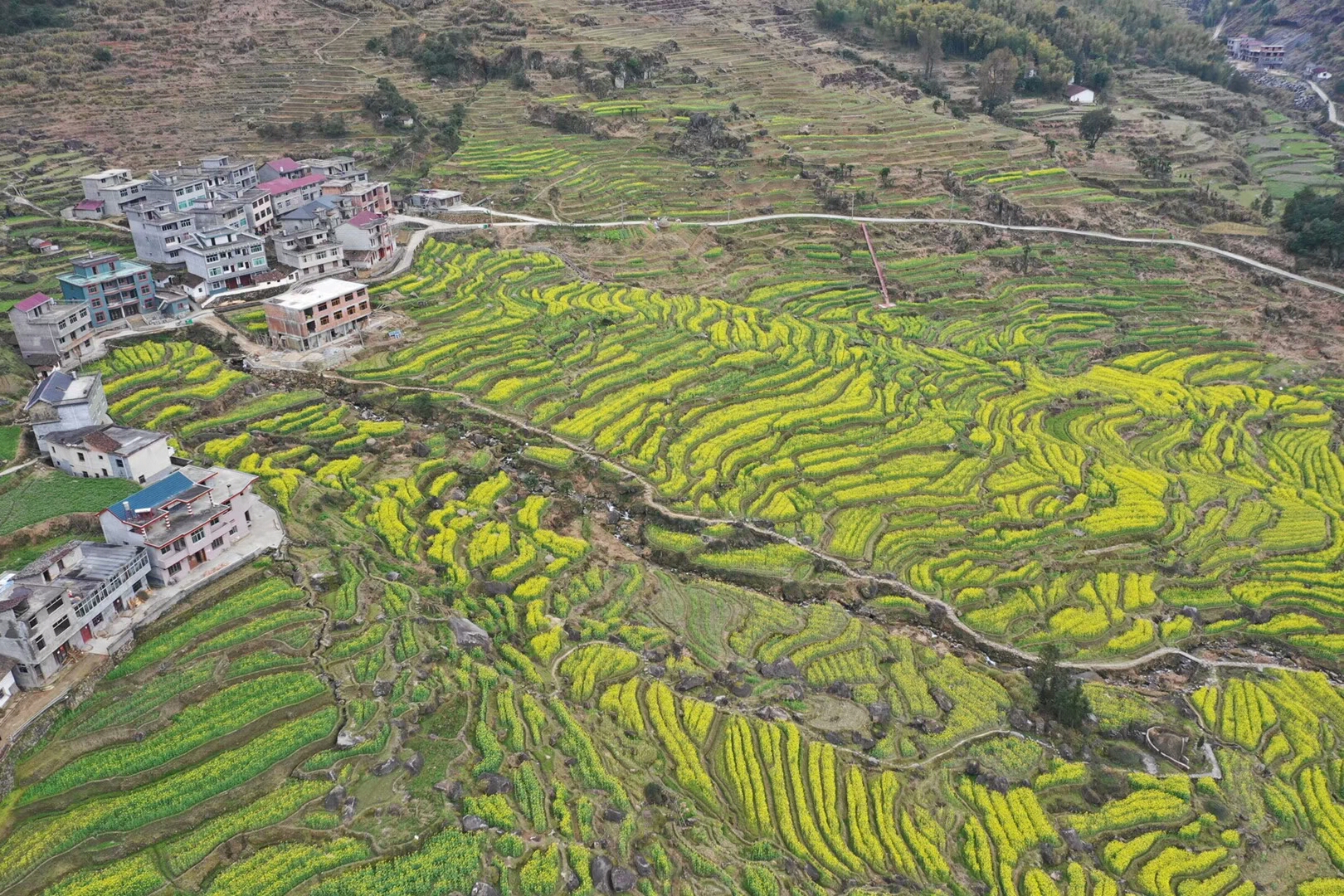 江西省上饶望仙乡有多少人口_上饶望仙谷图片