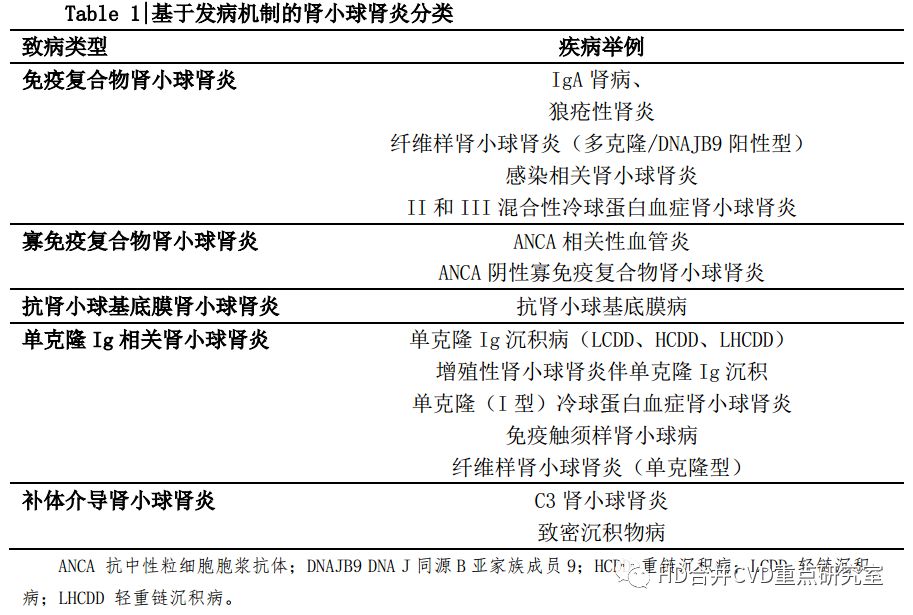 抗c1q抗体高怎么办