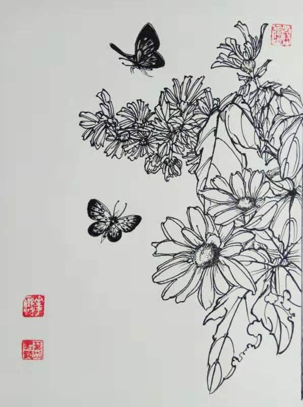 九百二十二——瓜叶菊(中性笔白描花卉习作)16,叶志军的钢笔画九百二