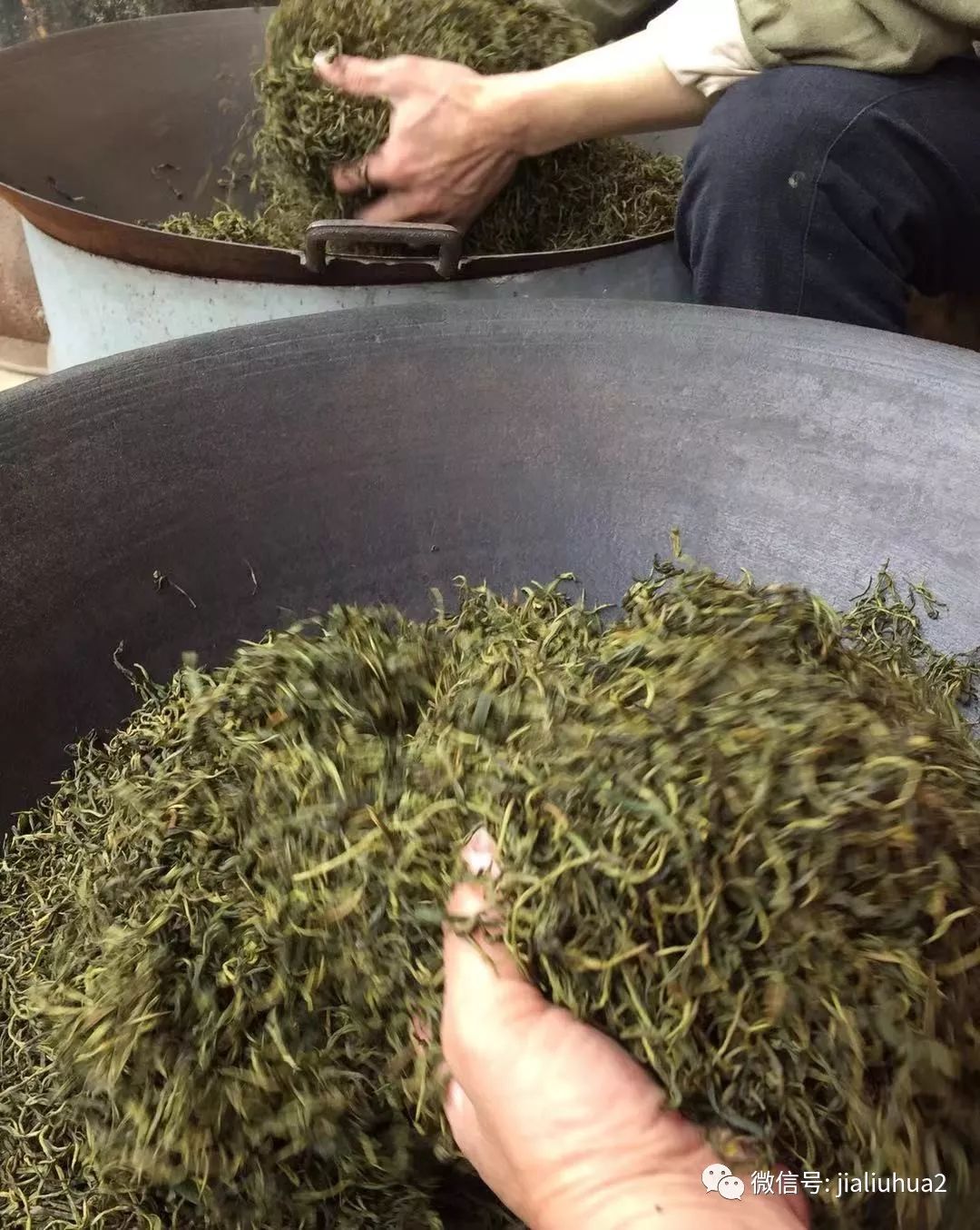 制作六堡茶全流程 | 行走茶区2019第一站广西六堡镇不