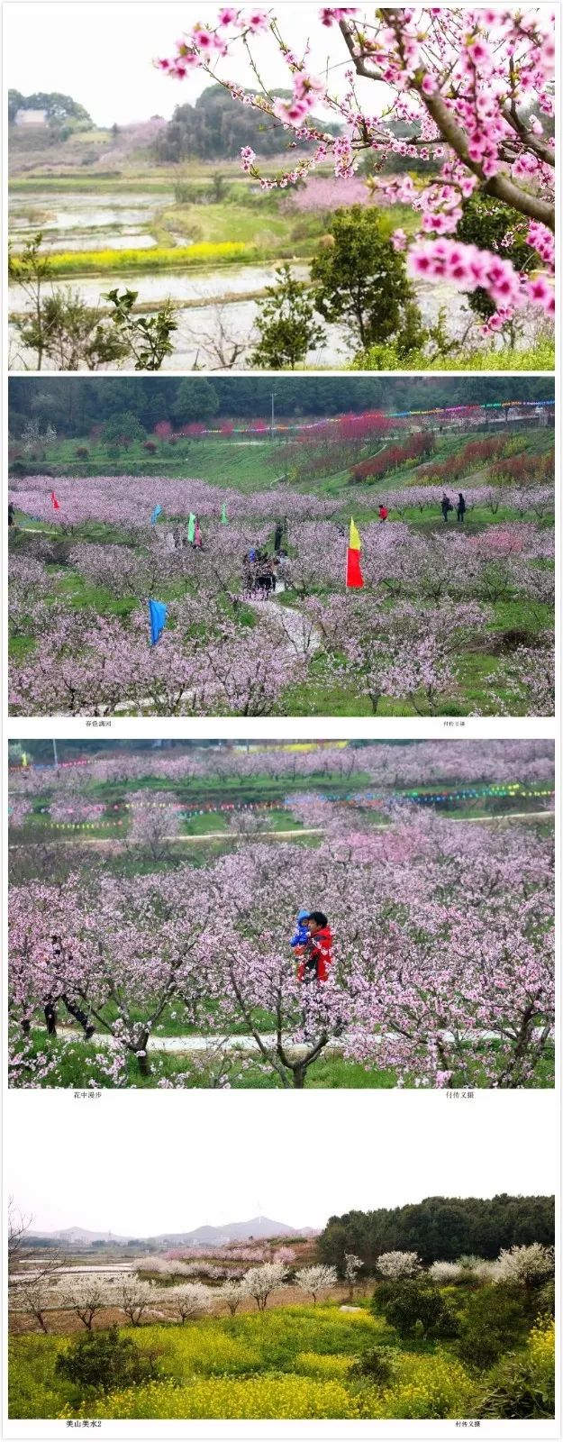 还有不到3天,石首桃花山将人山人海!众多明星大腕也要来.