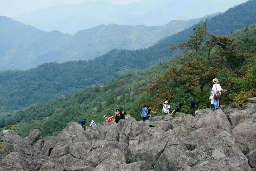 【经典】灿烂の黄|赏覆卮山千年梯田油菜花,攀第四纪冰川遗迹石浪群(3