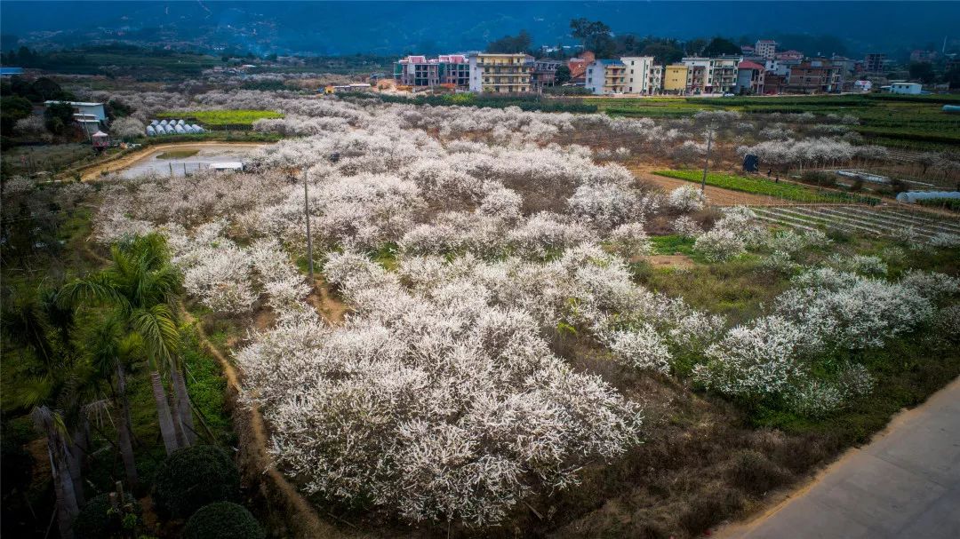 莆田坪人口_莆田坪盘旅游景区(3)