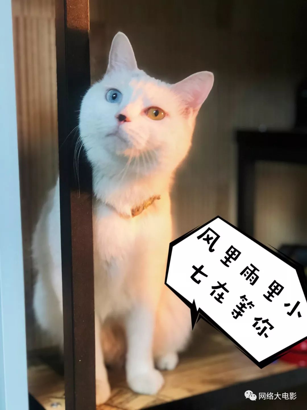 招聘猫_招聘猫app下载 招聘猫安卓版下载 v1.1.9 跑跑车安卓网(2)