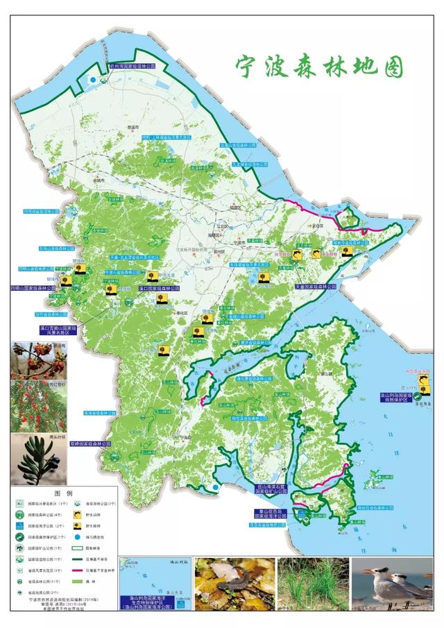 首份宁波森林地图出炉 够您玩一段时间了