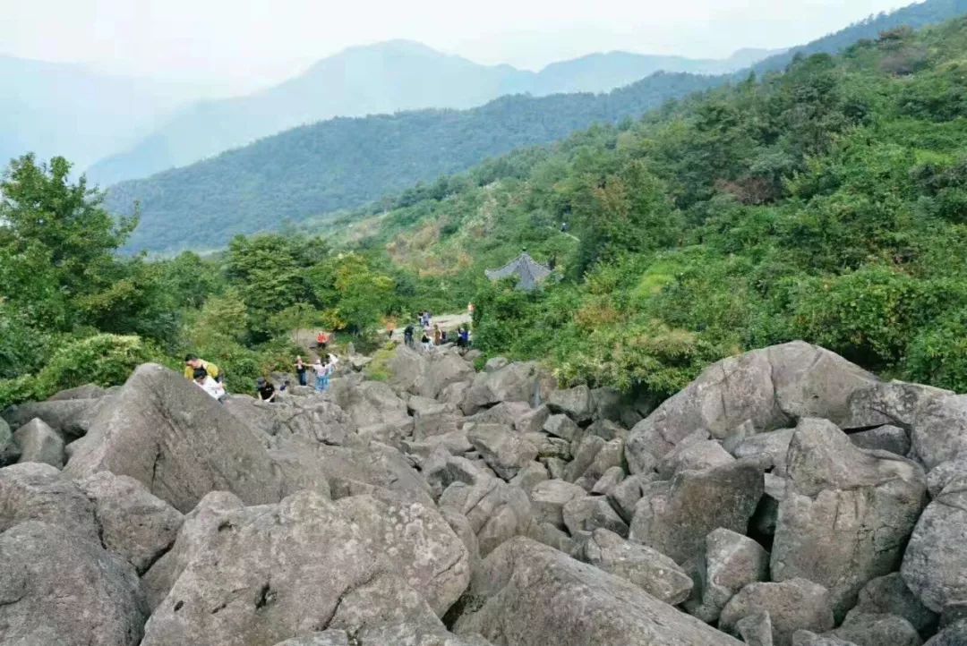 【经典】灿烂の黄|赏覆卮山千年梯田油菜花,攀第四纪冰川遗迹石浪群(3