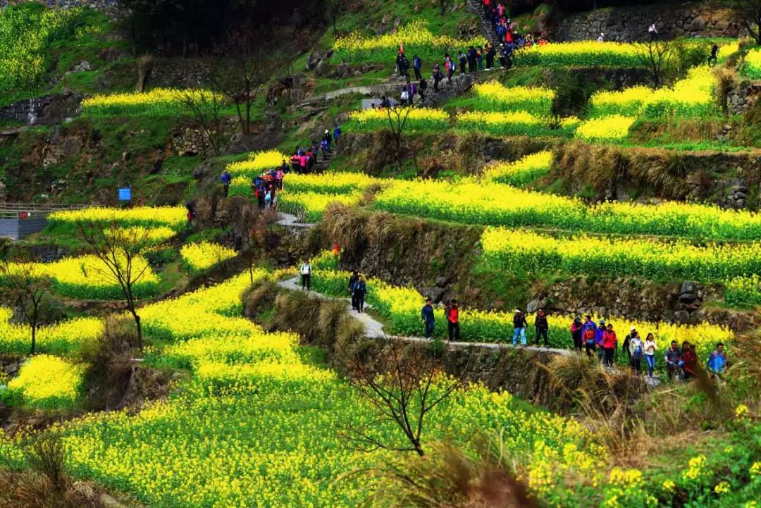 03/27周三;30周六 | 上虞覆卮山 攀石浪 赏大美油菜花