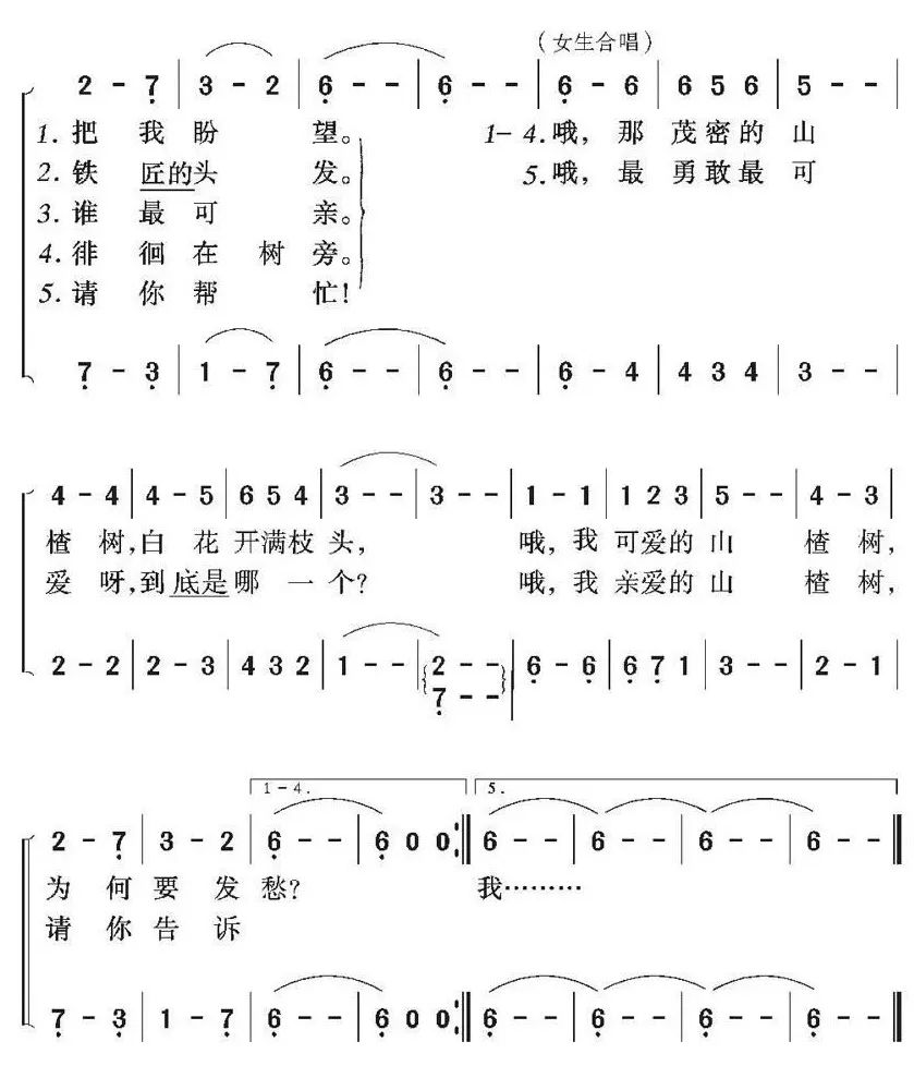 简谱三重唱山楂树_山楂树之恋简谱(2)