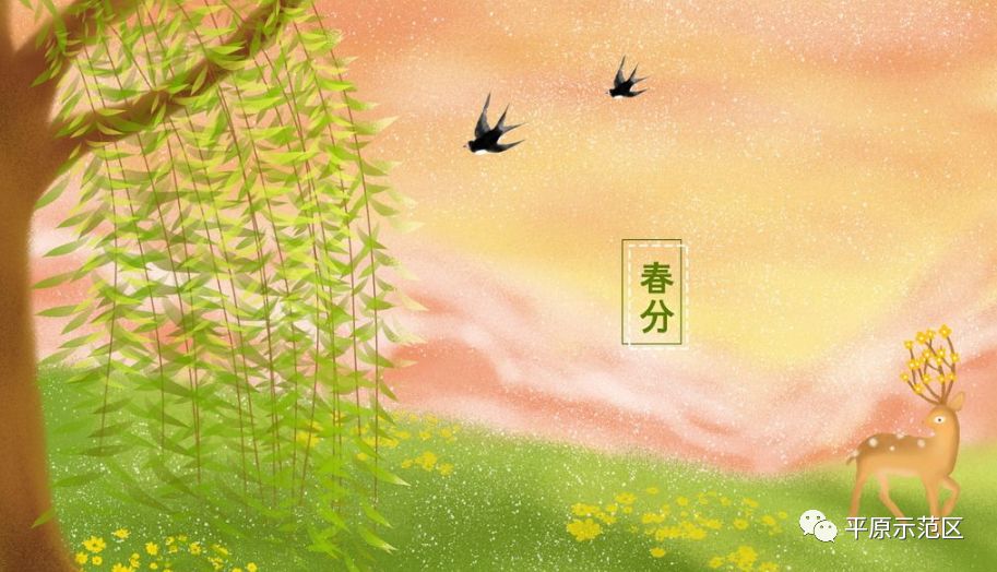 【今日春分】燕子来时,陌上花开