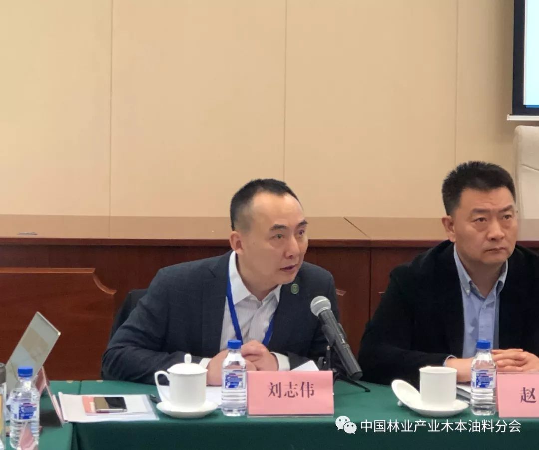 分会常务副秘书长刘志伟同志做了2018年度工作总结和2019年度工作计划