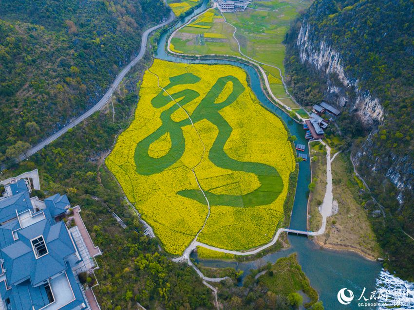 航拍贵州安顺龙字田镶嵌在大山里的油菜花海高清组图