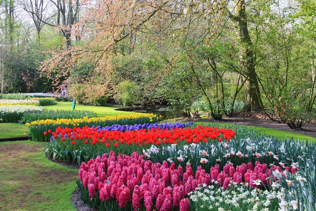 世界上最美的花卉公园,非荷兰库肯霍夫公园莫属