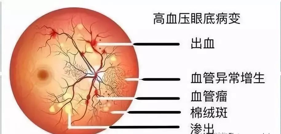 内脏洗手猜一个成语_洗手卡通图片