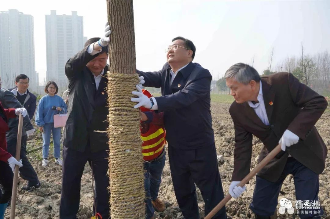 市领导毛宏芳,刘冬生,高玲慧,孙贤龙,区领导吴炳芳,吴燕,滕根林,刘君