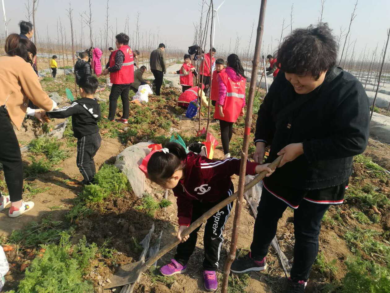 夏津爱心胡萝卜采摘公益活动_杨依宁