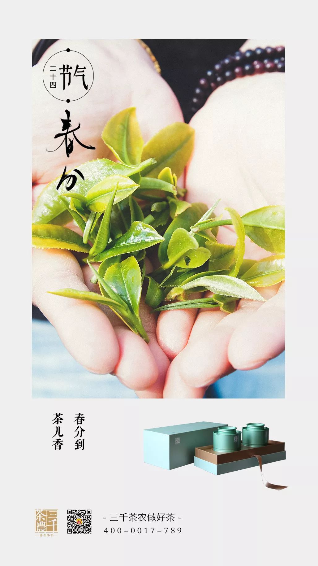 春分 花间一壶茶 赏氤氲春色 春风