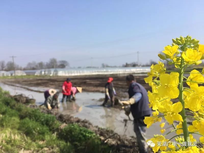 中联村人口_中联吊车图片(3)